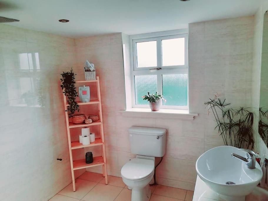 Conveniently Located House To Enjoy All Of Kerry Tralee Buitenkant foto
