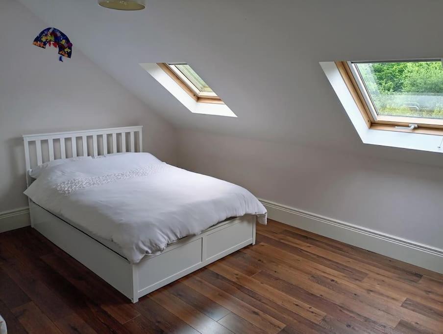 Conveniently Located House To Enjoy All Of Kerry Tralee Buitenkant foto