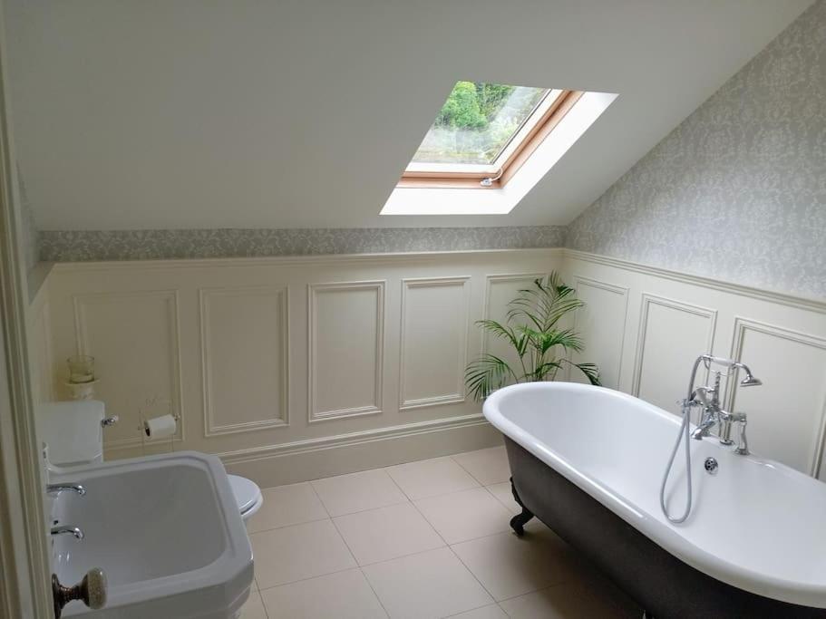 Conveniently Located House To Enjoy All Of Kerry Tralee Buitenkant foto