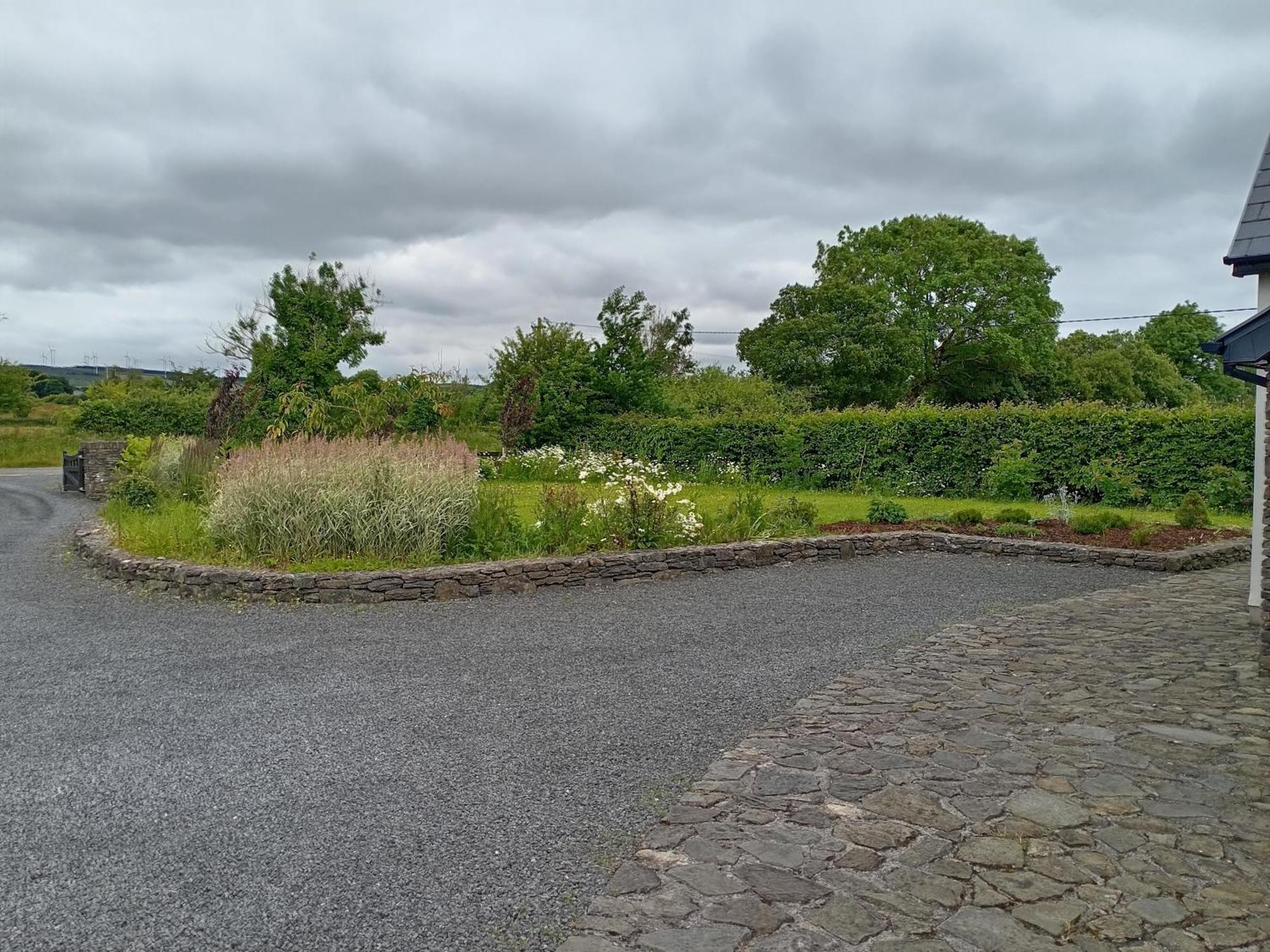 Conveniently Located House To Enjoy All Of Kerry Tralee Buitenkant foto